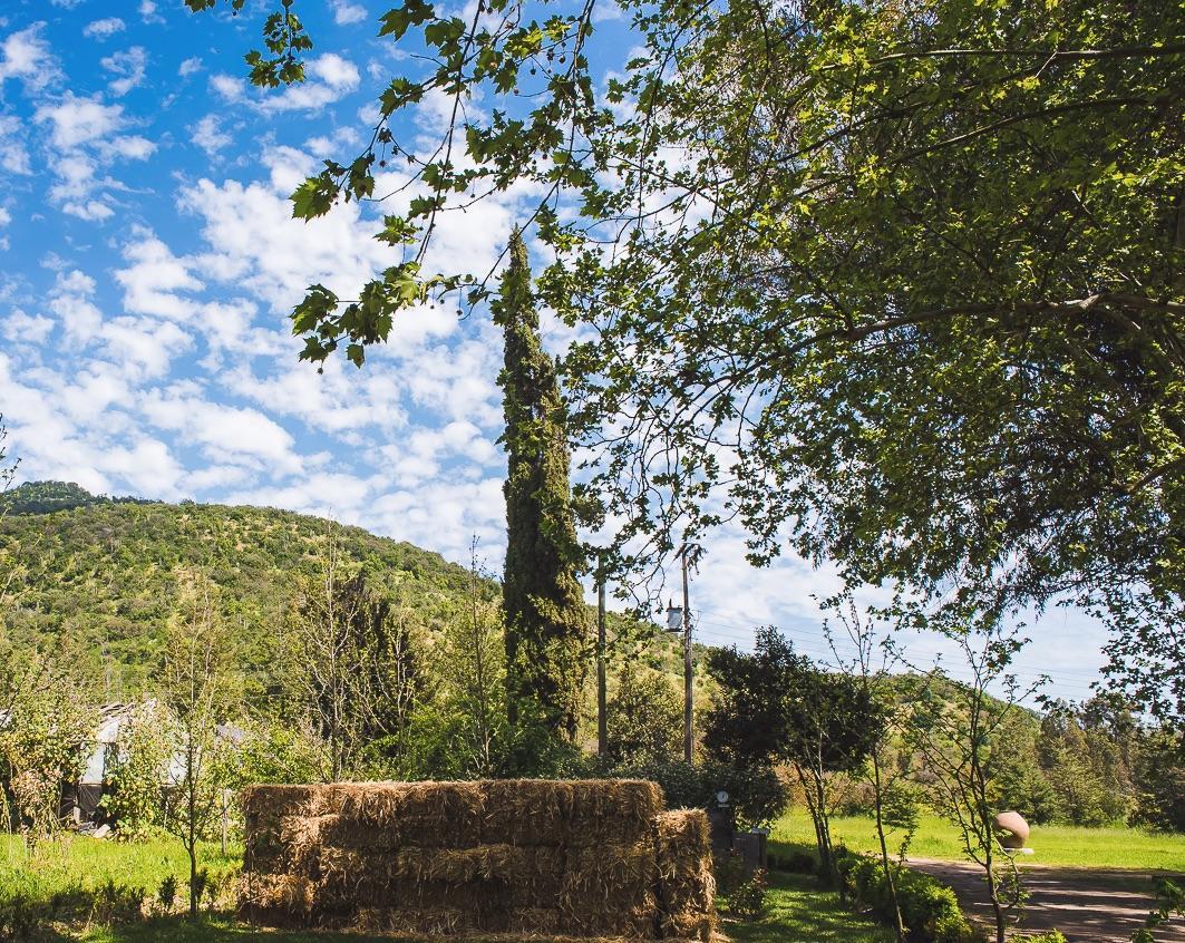 Hacienda Los Lingues Chile Valle De Colchagua Ngoại thất bức ảnh